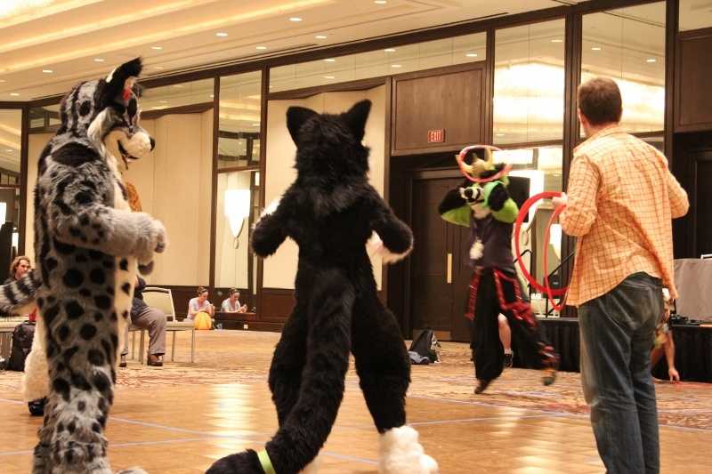 Furry Convention 2015: Costumes