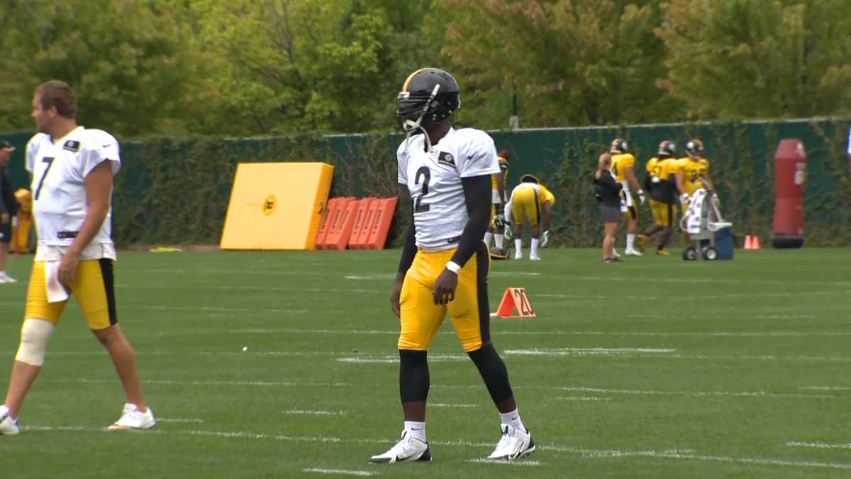 Photos: Michael Vick's first practice with Steelers