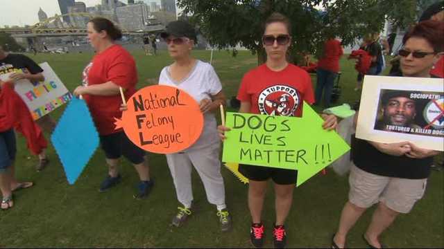 Animal rights activists don't want NFL to honor Michael Vick - Los Angeles  Times