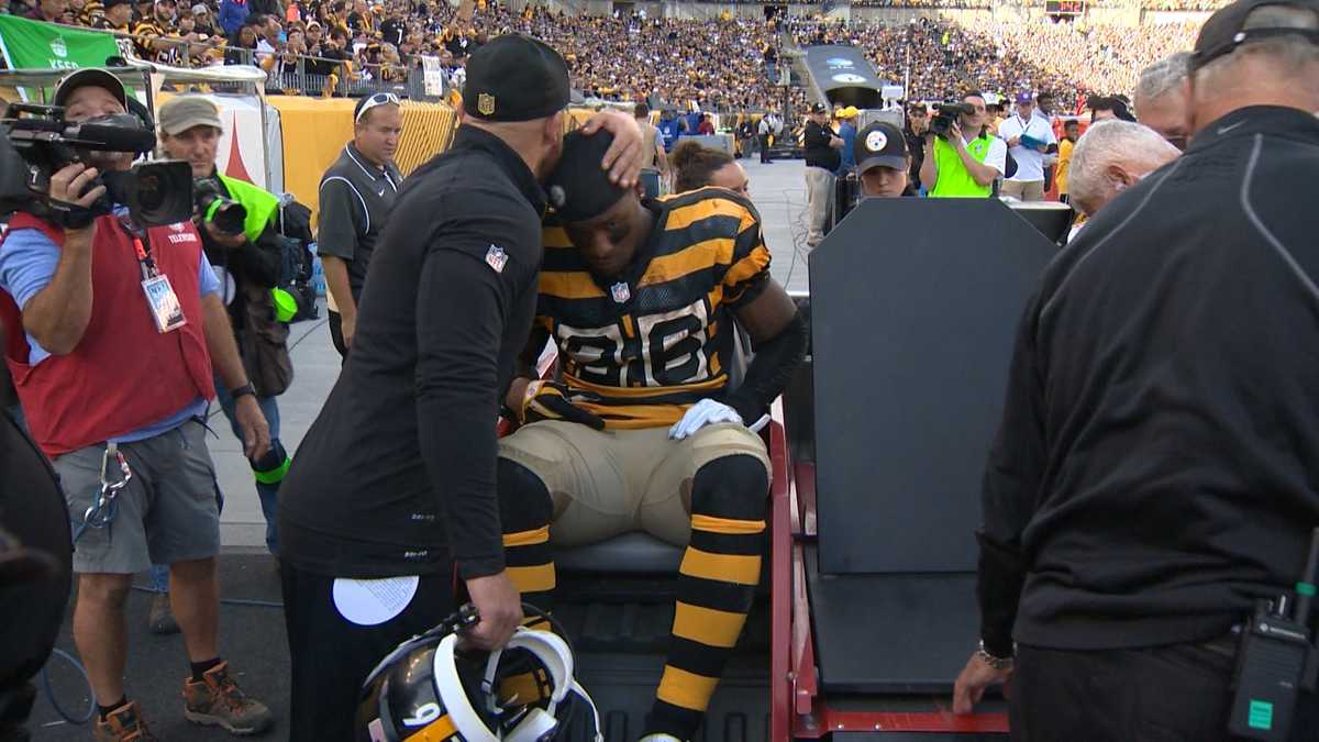 DeAngelo Williams Injury: Updates on Steelers RB's Ankle and