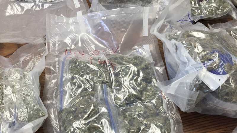 Photos: Pounds of marijuana seized in Greensburg drug bust