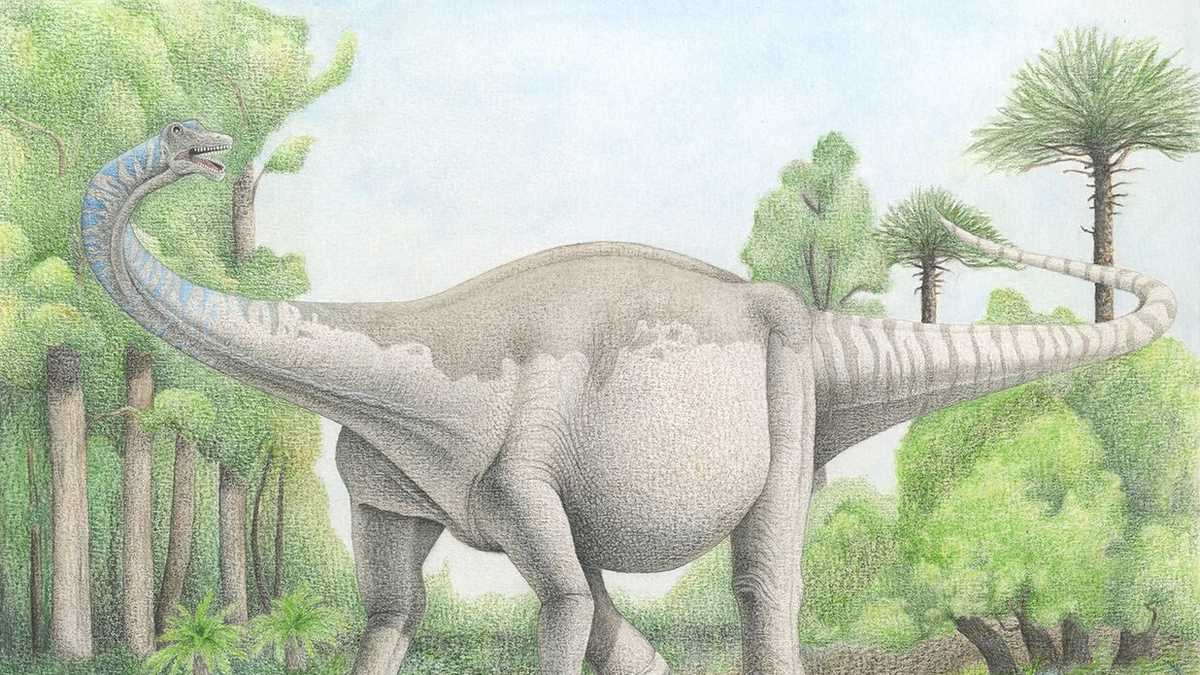 what is the largest dinosaur known to man