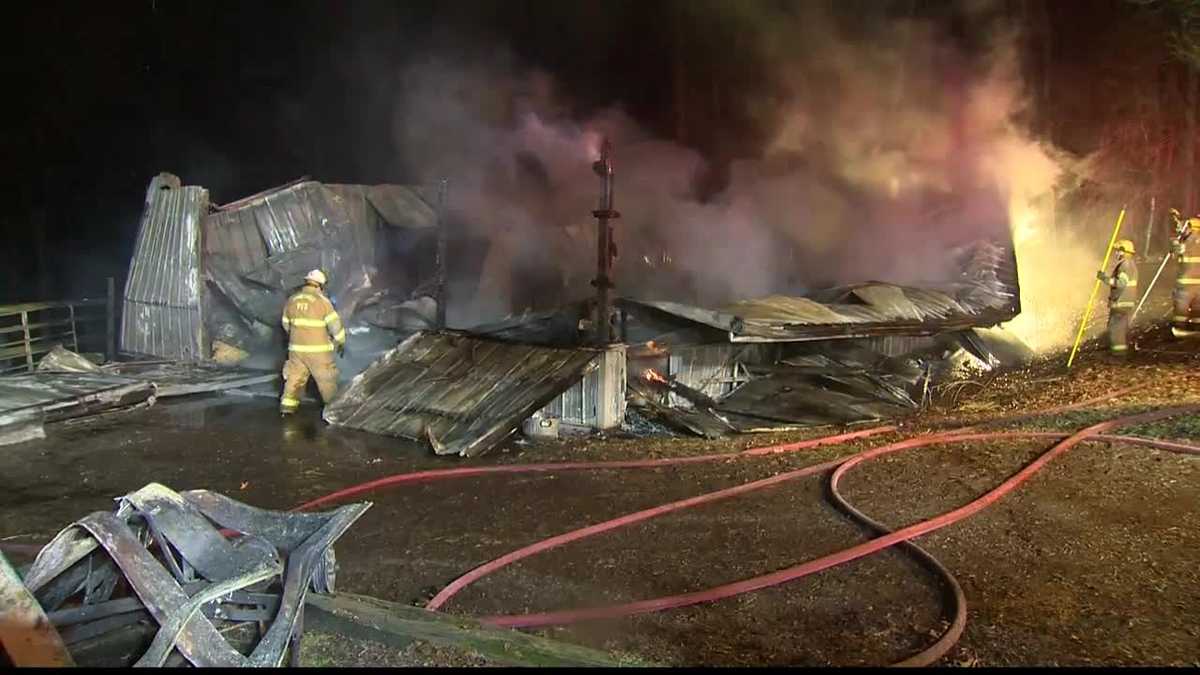 Horses die in Indiana Twp. barn fire, owner devastated