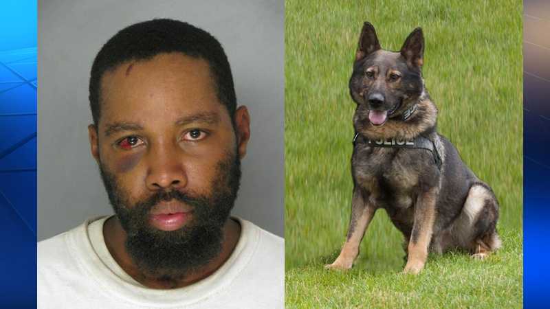 Police say Bruce Kelley Jr. (pictured, left, from a previous arrest) was shot to death after he stabbed K-9 Aren (right).