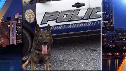 K-9 ArenPort Authority of Allegheny County Police Department, PAEOW: Sunday, January 31, 2016Cause of Death: Stabbed