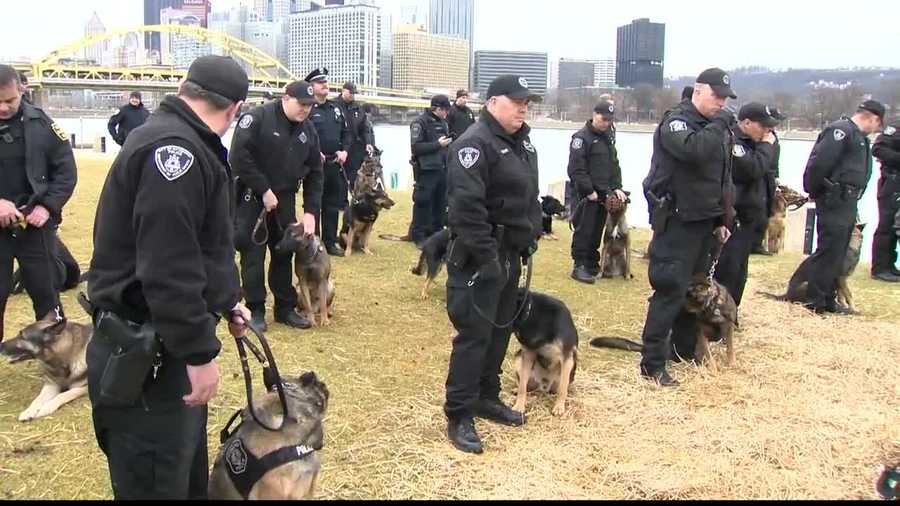 Officers from across the city, county and even the state gathered in the North Shore to say goodbye and honor K-9 Aren, who was killed in the line of duty Sunday.