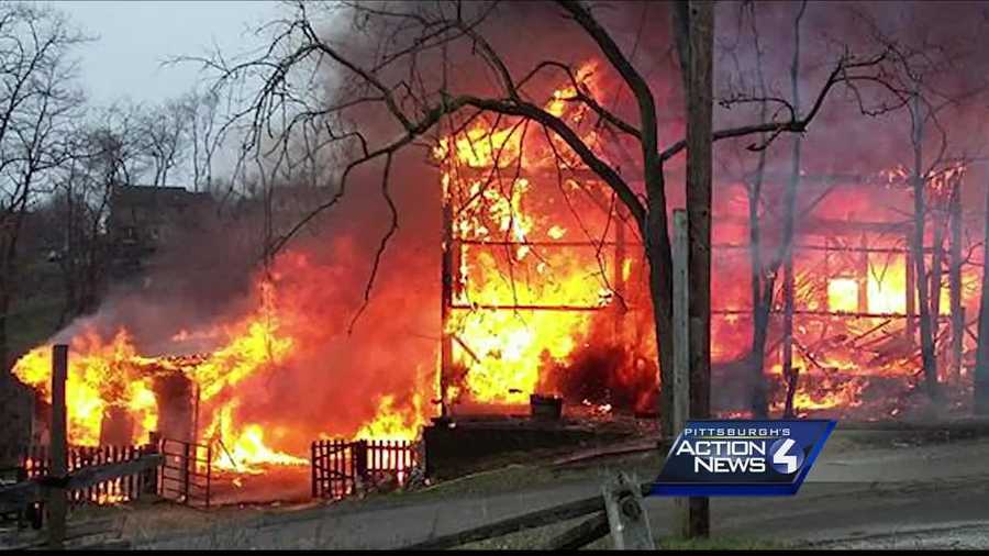 Barn Fire Kills 7 Horses In South Park Township