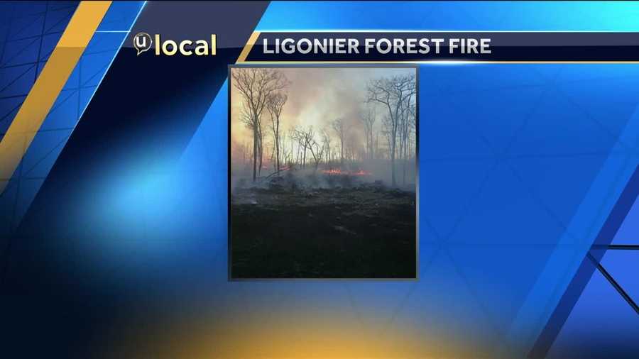 A forest fire burned in Westmoreland County Saturday evening. (Photo courtesy u local user)