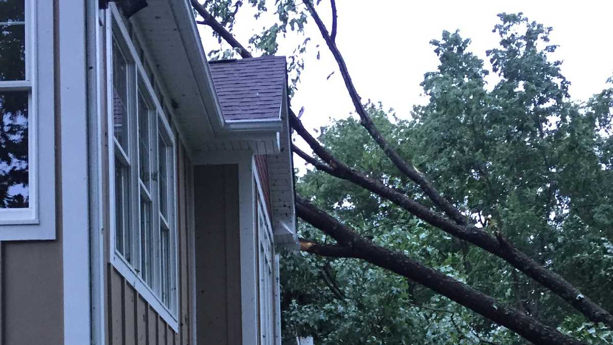 Photos Woman believes tornado ripped through Dunbar Township backyard