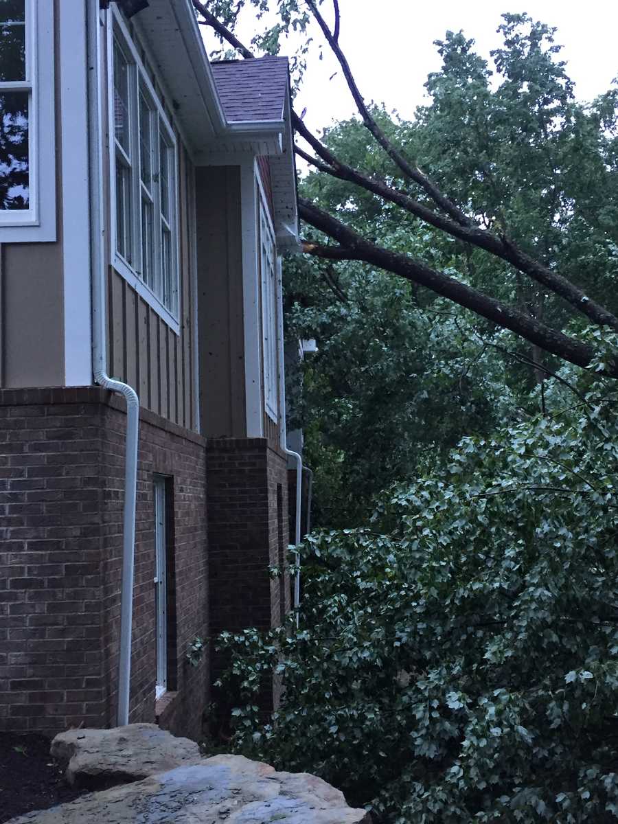Photos Woman believes tornado ripped through Dunbar Township backyard