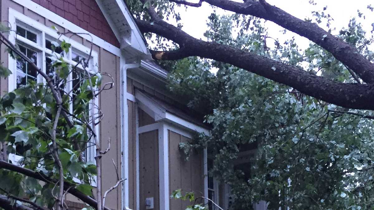 Photos Woman believes tornado ripped through Dunbar Township backyard