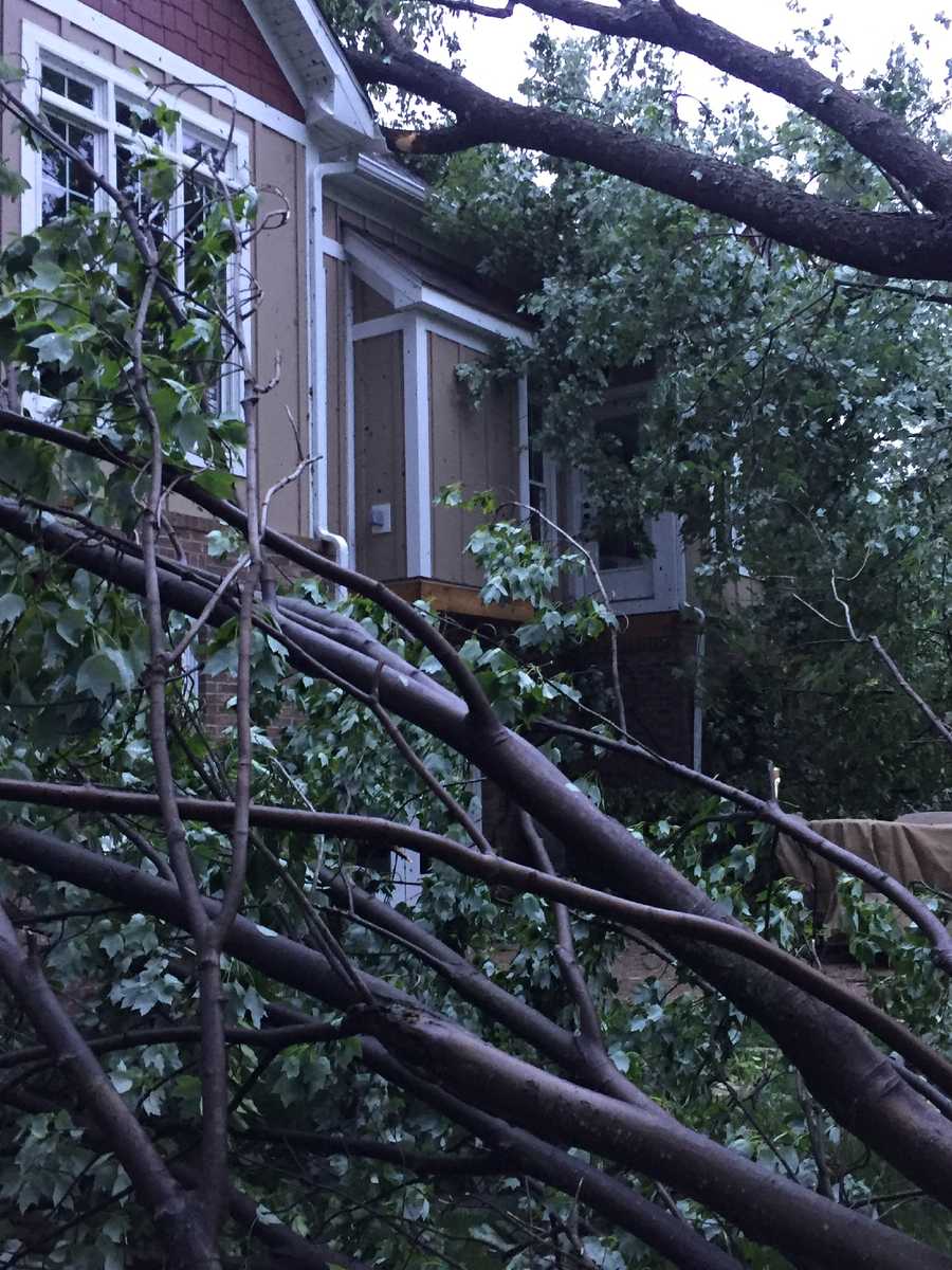 Photos Woman believes tornado ripped through Dunbar Township backyard