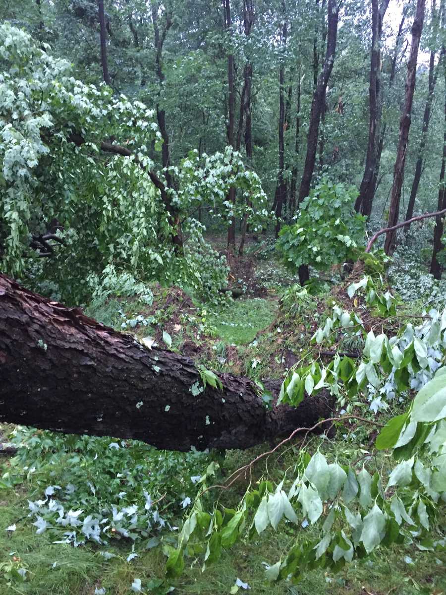 Photos Woman believes tornado ripped through Dunbar Township backyard