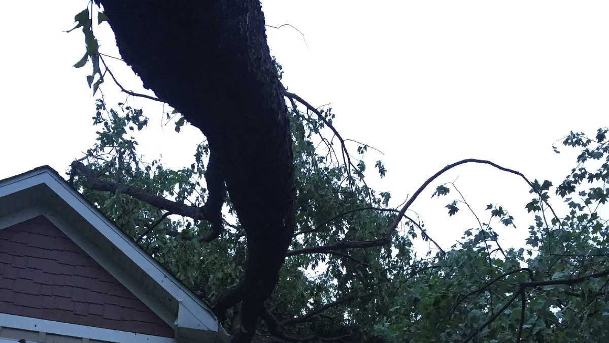 Photos Woman believes tornado ripped through Dunbar Township backyard