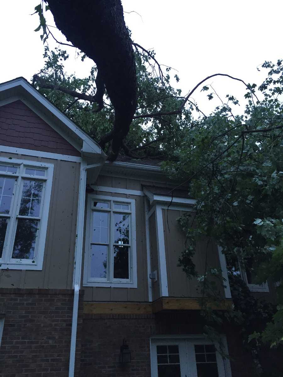 Photos Woman believes tornado ripped through Dunbar Township backyard