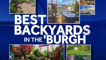 Best Backyards In The Burgh 2016