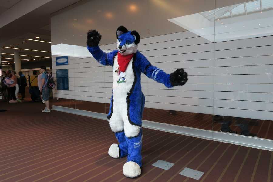 PHOTOS: Fursuits at Anthrocon 2016