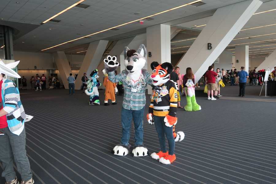 PHOTOS: Fursuits at Anthrocon 2016