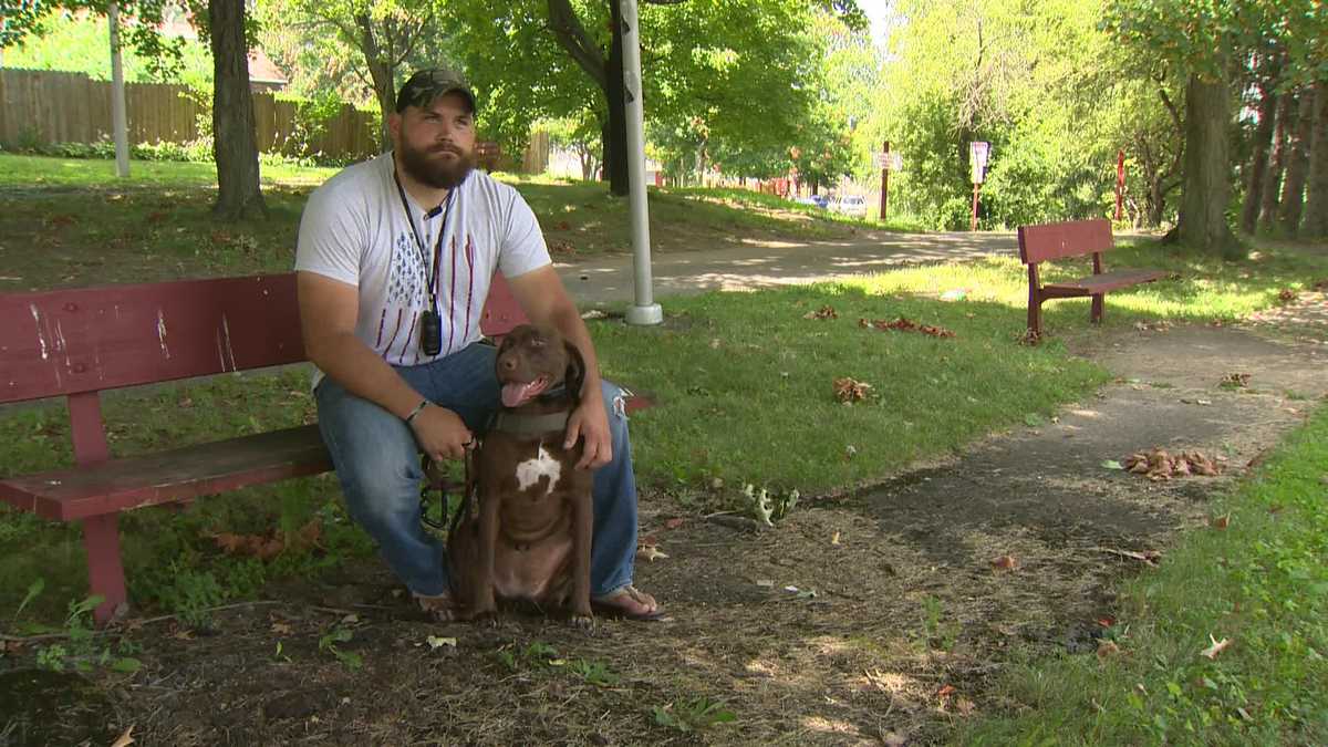 Uniontown veteran asked to leave bar because of service dog; bar owner apologizes