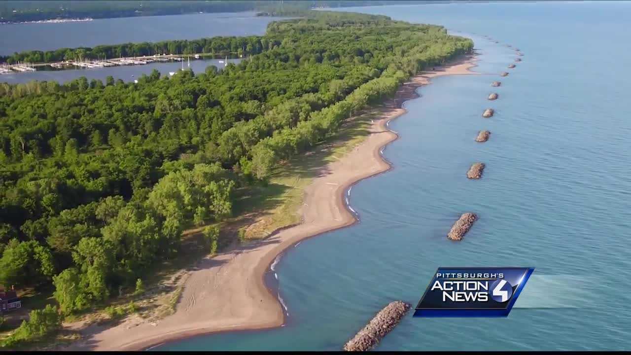 are dogs allowed on presque isle beaches