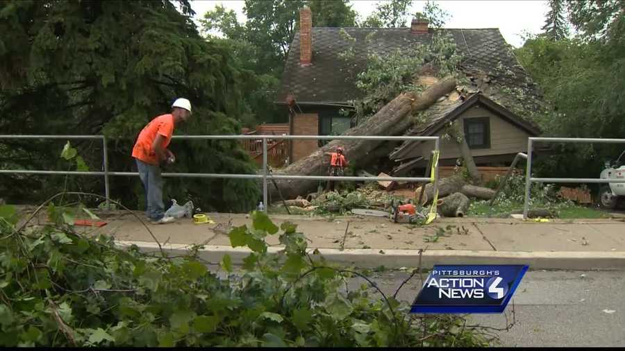 A Bethel Park family was frightened Sunday evening when a violent storm ripped a massive tree from its roots and tossed it onto their home.