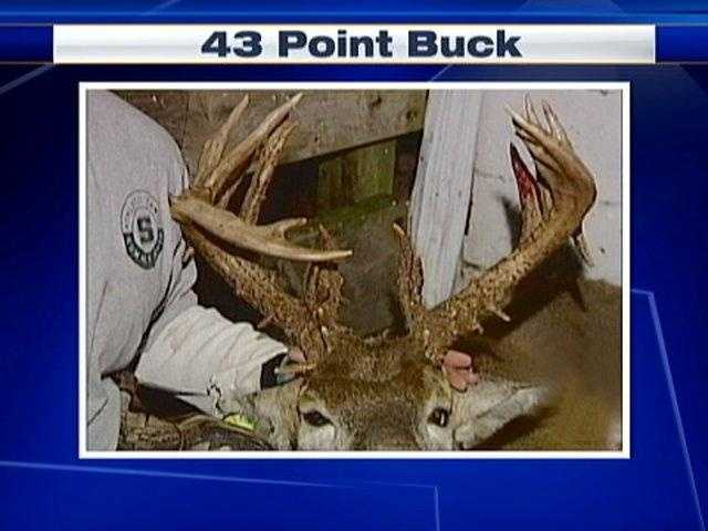 Million Point Buck — Red Giant