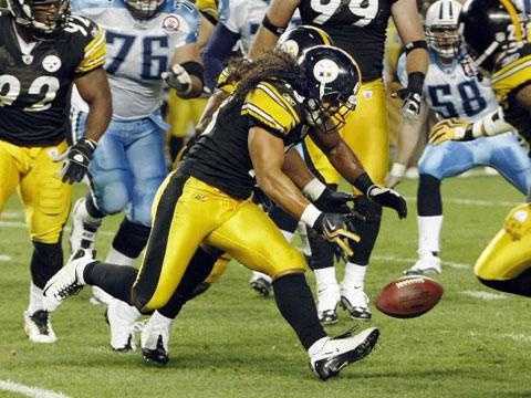 USC Football: Troy Polamalu makes the College Football Hall of Fame -  Conquest Chronicles