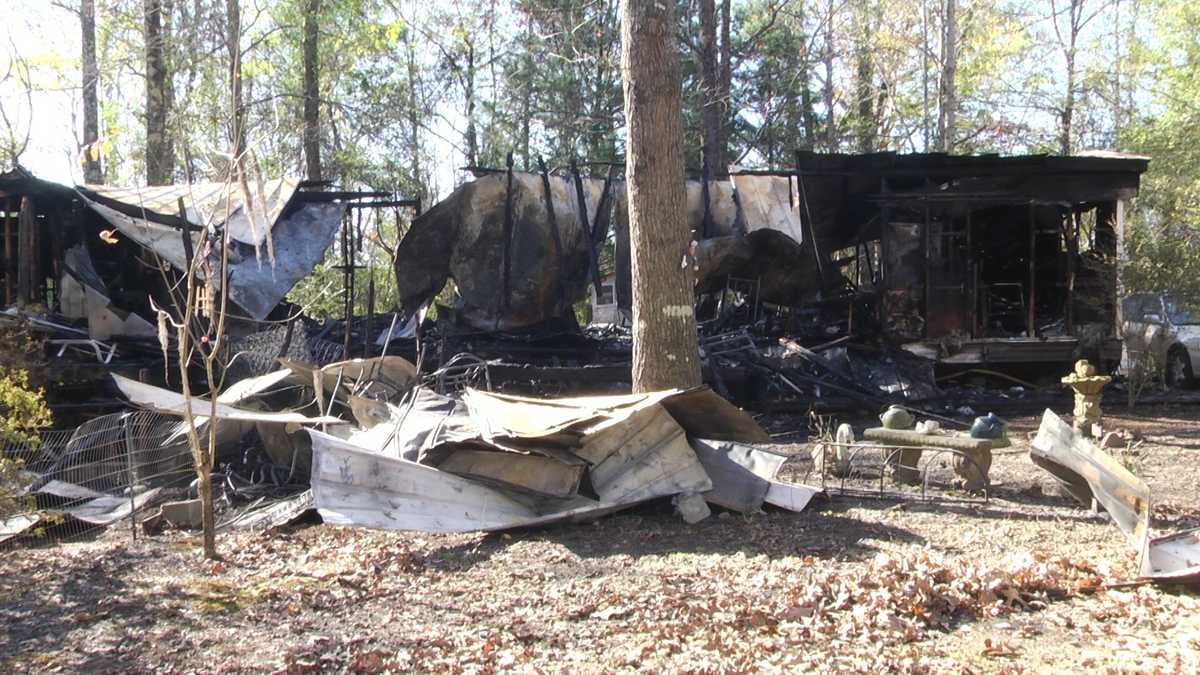 Cottondale fire kills 4 dogs, destroys home