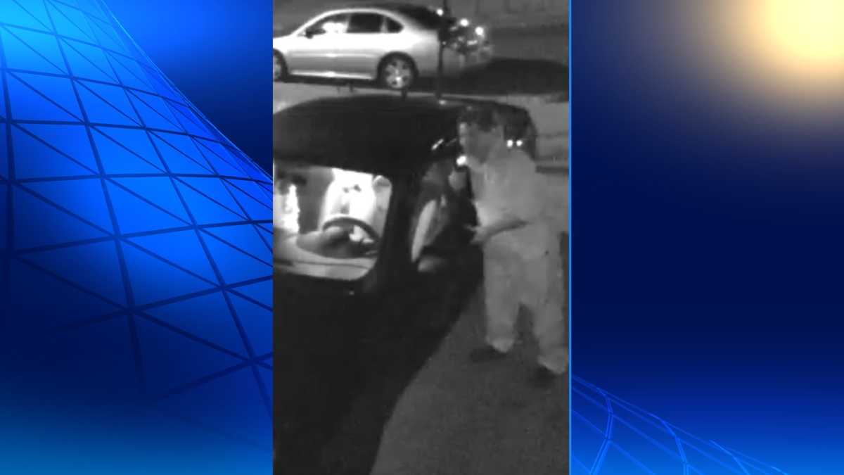 Authorities seek identity of McCalla car breakin culprit