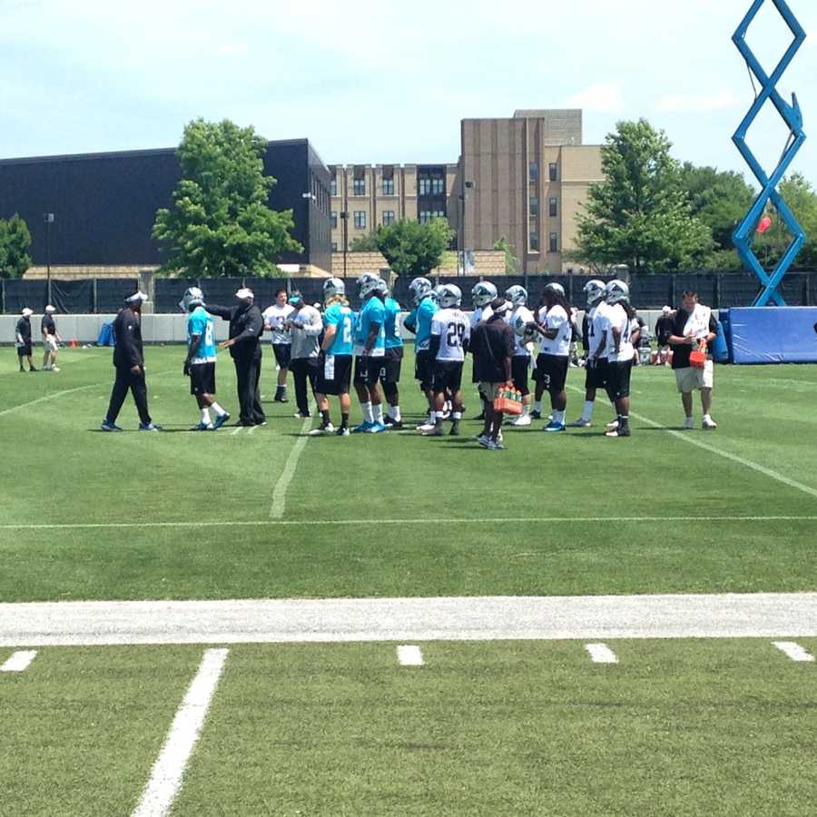 Carolina Panthers Rookie Minicamp in Charlotte