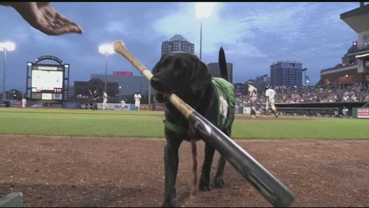 Miss Babe Ruth featured on NBC Nightly News