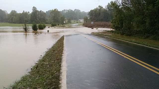 Flooding on Wolf Island Road near Reidsville
