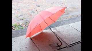 umbrella rain generic