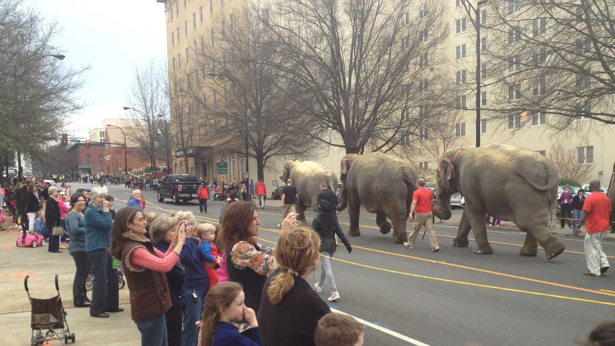 Pictures Circus elephants arrive in Greenville