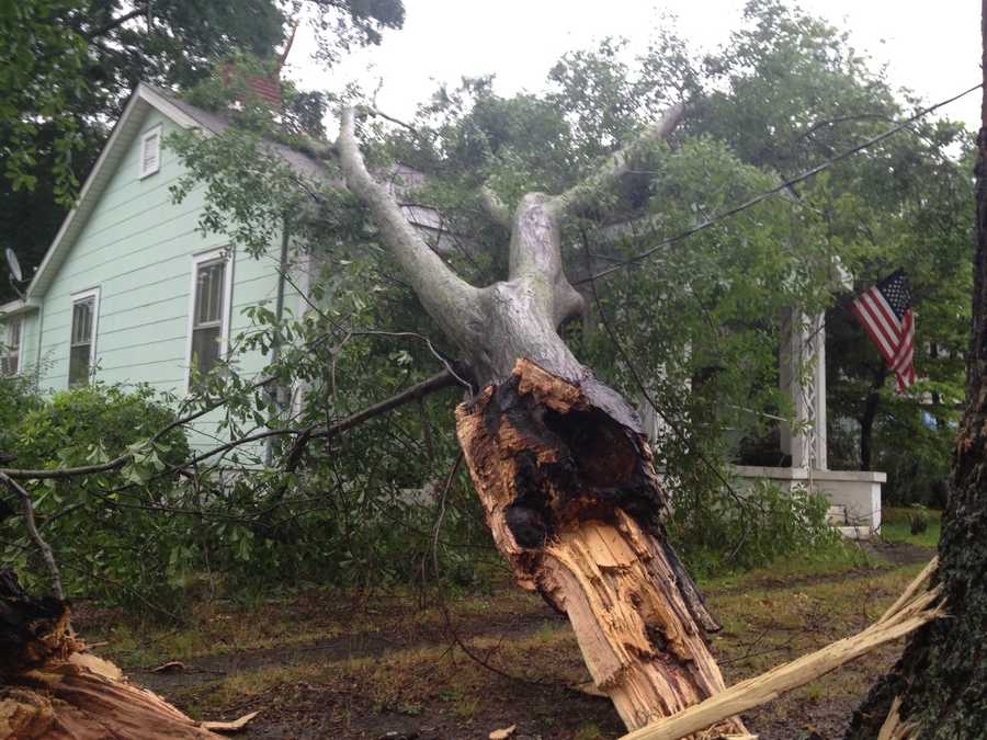 Pictures: Storm damage in Upstate