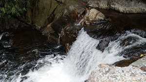 Laurel-Fork-Falls--Adam-Caudill.jpg