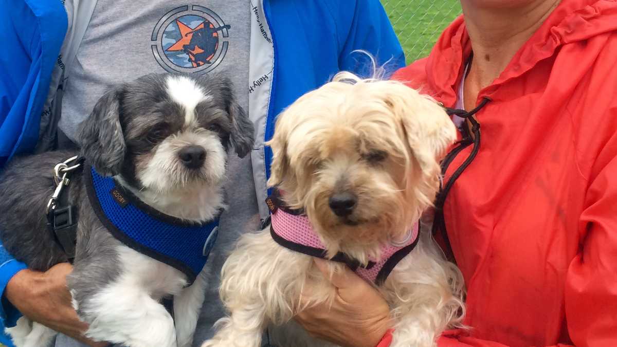 Petfriendly shelter open in Columbia