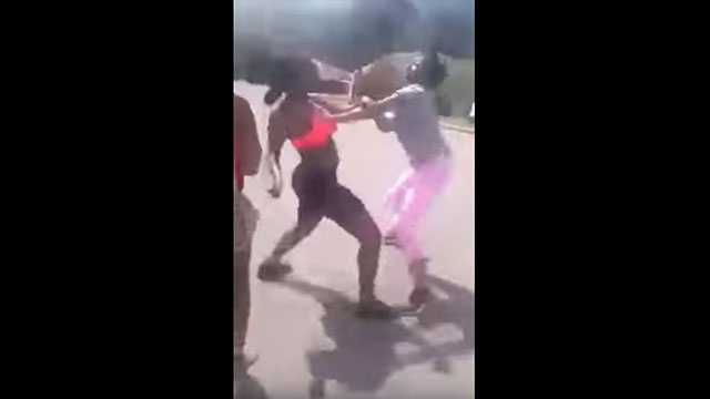 dead girl fight