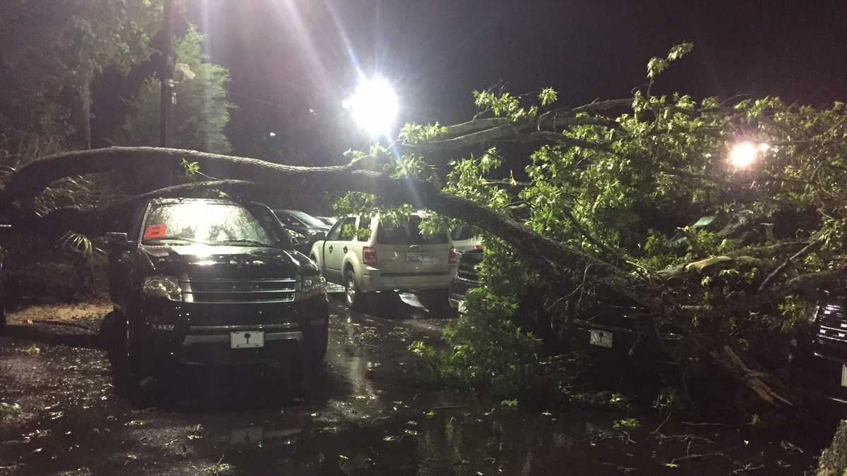 Trees fall on several cars during severe storms