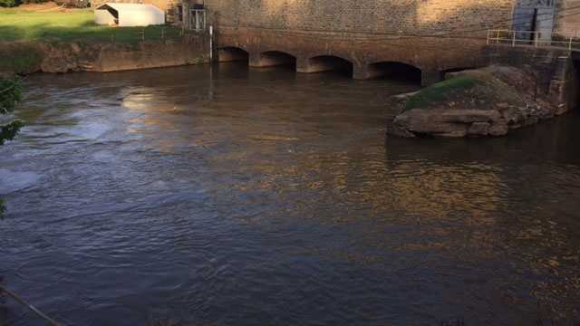 Coroner: Gaffney man drowned while fishing on Broad River Monday