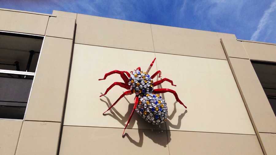 A spider was installed in Morgan Hill.