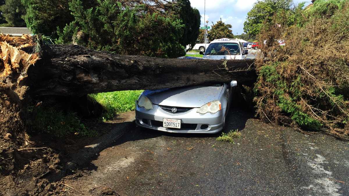 PHOTOS Tree falls on cars in Aptos during Friday storm