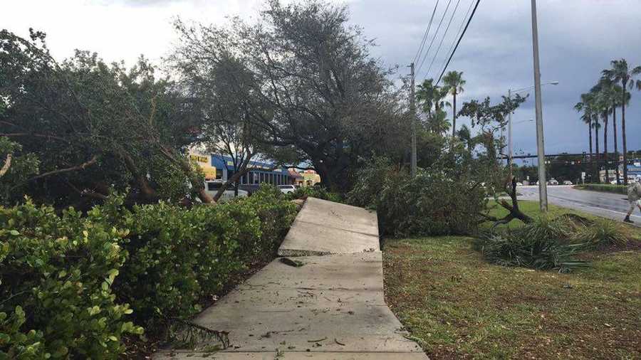 Photos: Tuesday's storm damage