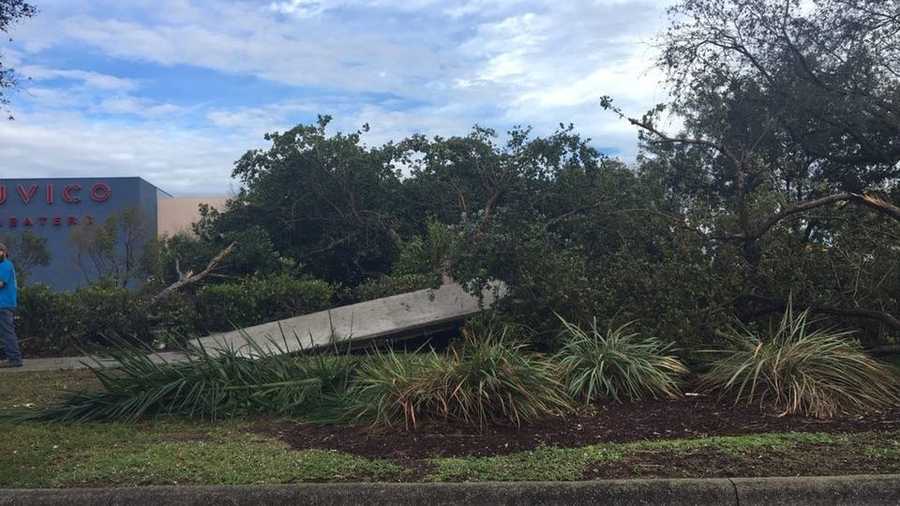 Photos: Tuesday's storm damage