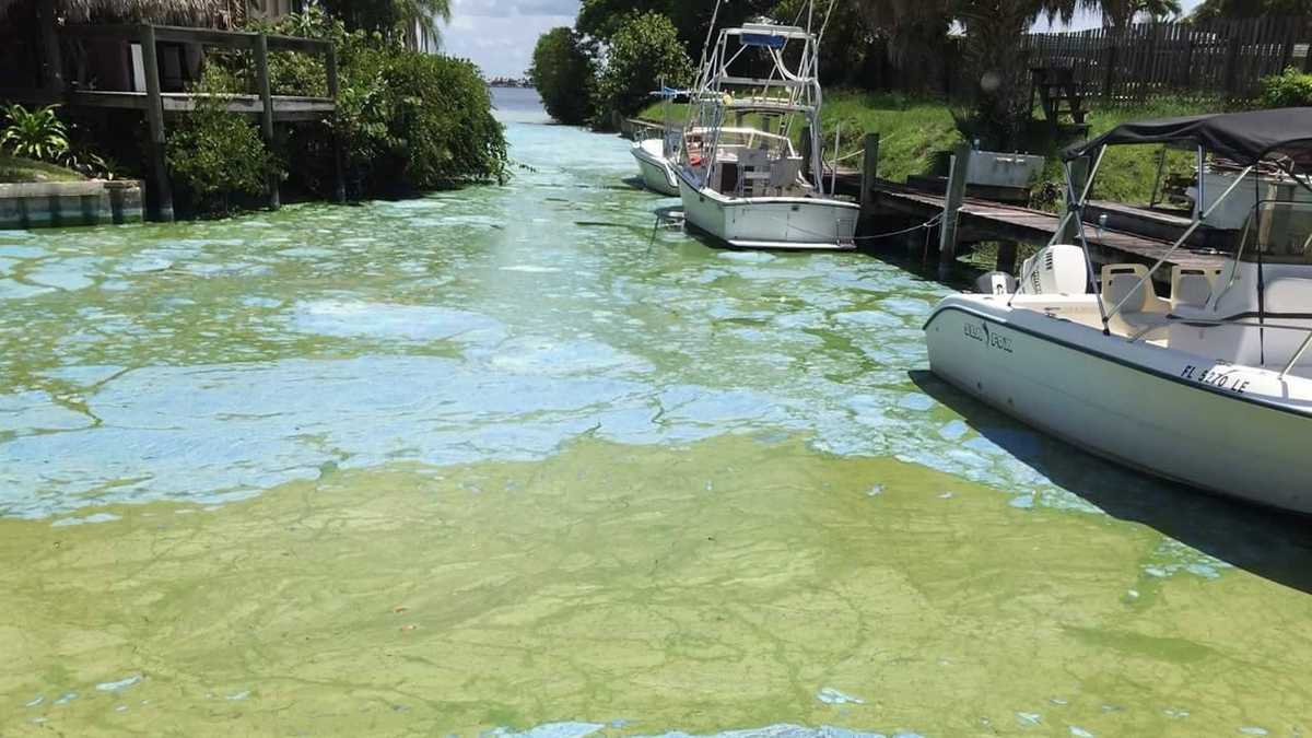 FWC collecting water samples across beaches in South Florida