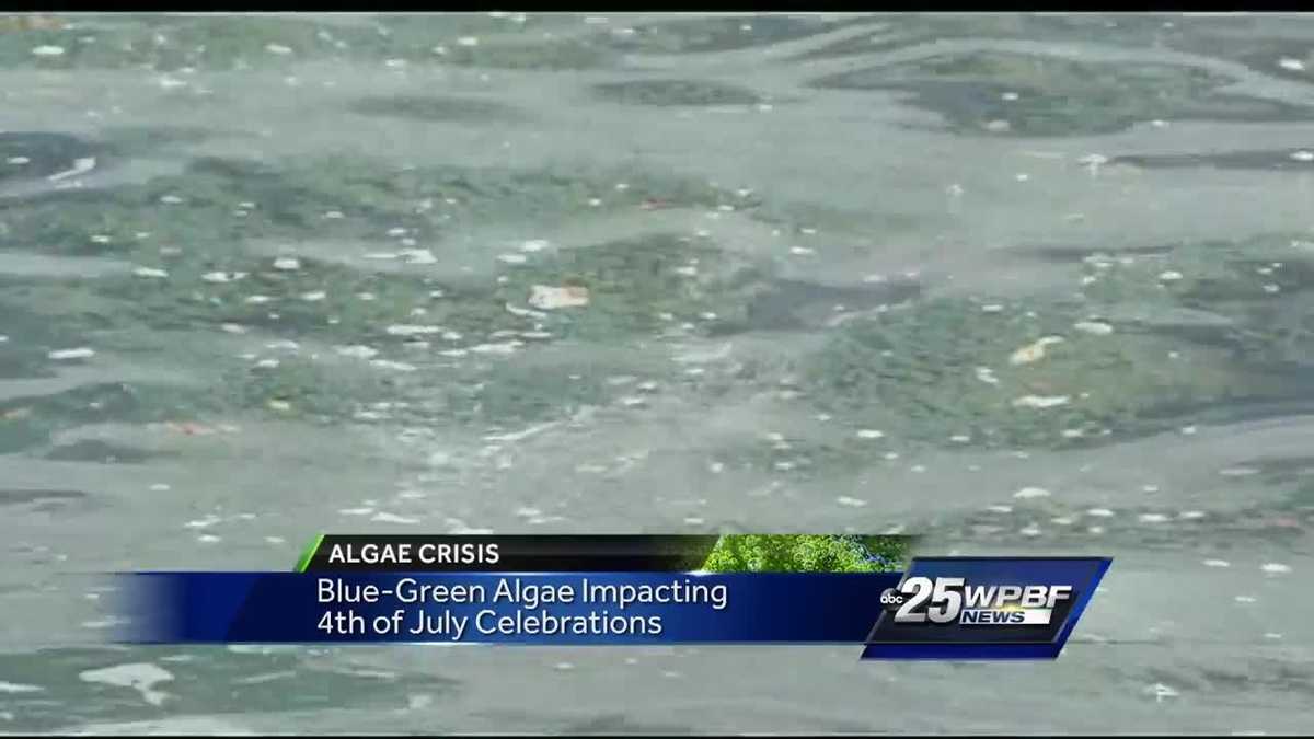 Algae closes popular beach on July Fourth