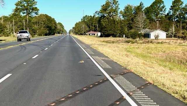 Georgia State Patrol investigating fatal crash in Tattnall County. - Vimarsana News