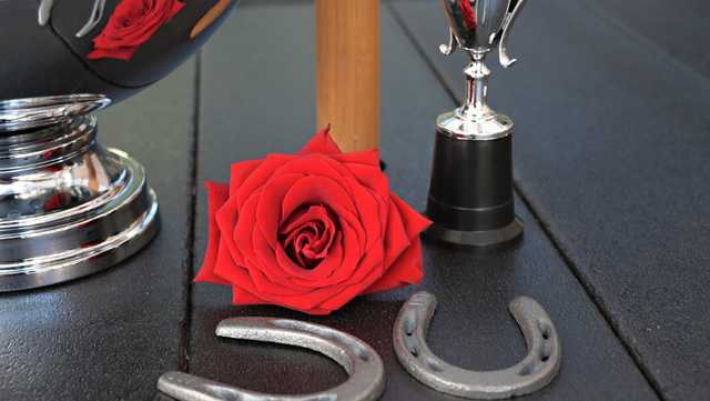 Riders up! The Kentucky Derby is coming to the Lowcountry. Get your tickets here - Vimarsana News