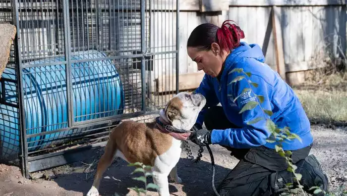 Hundreds of Animals Rescued in Grady County Animal Cruelty Case - News Directory 3