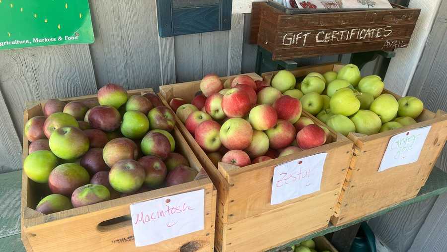 New Hampshire best apple orchard of 2023